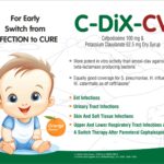 WhatsApp Image 2024-12-17 at 6.56.32 PM