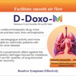 WhatsApp Image 2024-12-17 at 6.56.36 PM