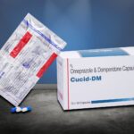 WhatsApp Image 2024-12-17 at 7.05.31 PM